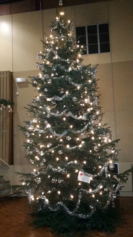 Passies Verhuizen gesponsord kerstboom voor SEIN.