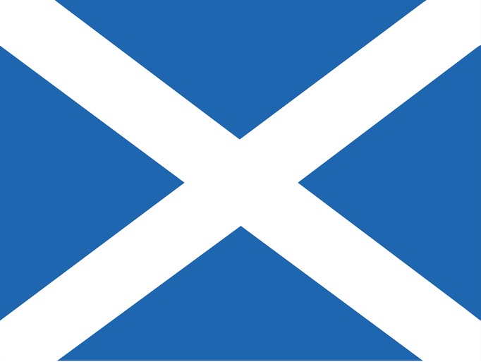 Scotland flag on the Passies Verhuizers website.